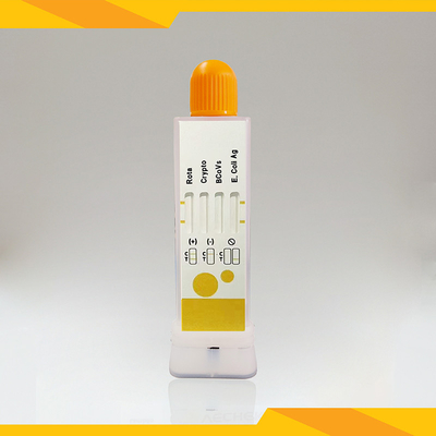Rotavirus+Cryptosporidia+Coronavirus +E. Coli Antigen Combo Rapid Test