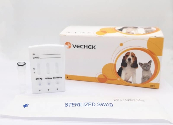 OEM Dog Test Kits CPV CCV Giardia Lamblia Antigen Rapid Diagnostic
