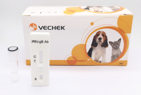 Porcine Home Test Kit Pseudorabies gB Antibody With 24 Months Shelf Time